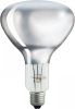 Philips | IR lamp R bollamp/reflectorlamp | Grote fitting E27 | 375W online kopen