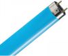 Philips Master Tl d Gekleurd 36w/18 Blauw 120cm online kopen