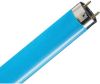 Philips Master Tl d Gekleurd 58w/18 Blauw 150cm online kopen