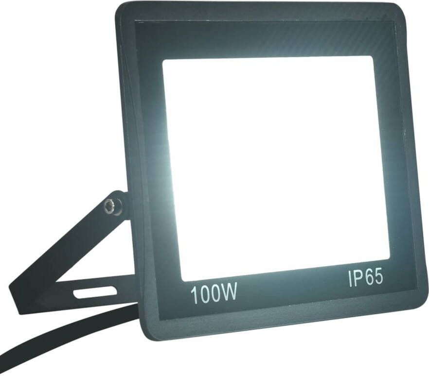 vidaXL Spotlight LED 100 W koudwit