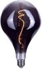 Highlight Lamp Led Xxl Deuk 16, 5x27, 5 Cm 6w 100 Lm 2200k Dim Rook online kopen