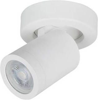 Highlight Spot Oliver Mat Wit 1 lichts IP44 8cm Ø