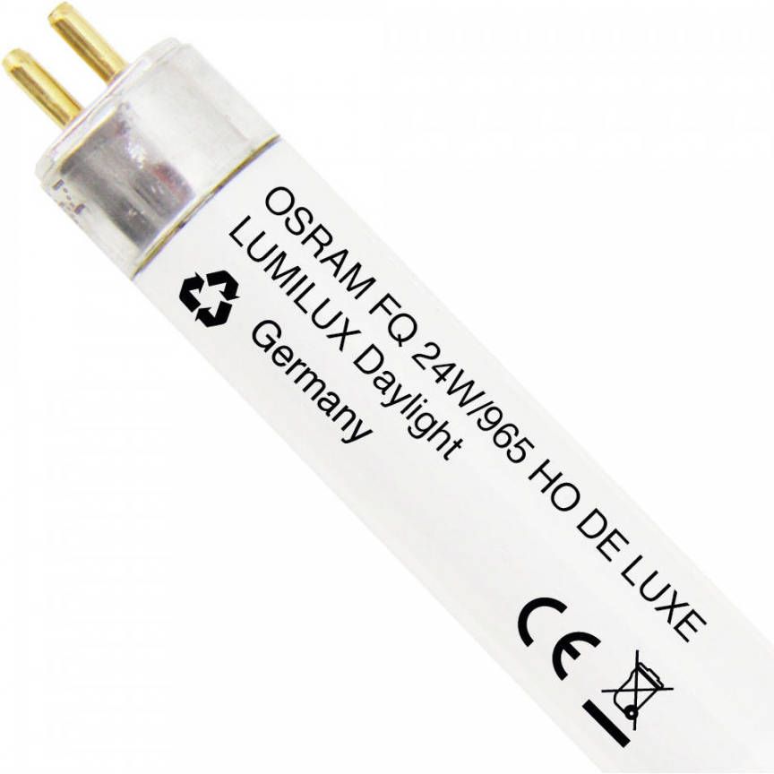 Osram Lumilux T5 FQ HO 24W 965 Daglicht | 55cm