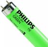 Philips MASTER TL D 58W Green | 150cm online kopen