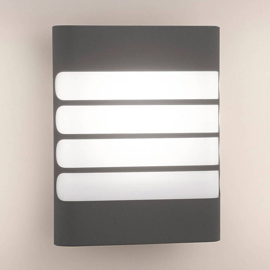 Philips Antracietkleurige LED buitenwandlamp Raccoon