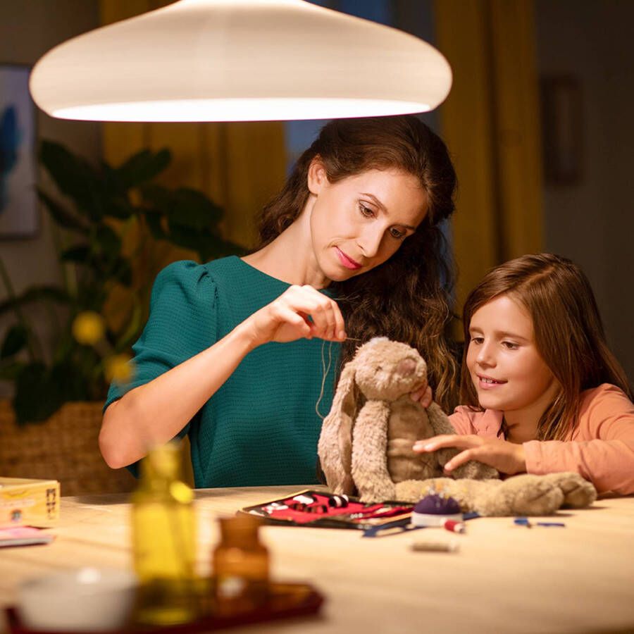 Philips Lichtbron A60 4, 3W E27 2700K 470 lumen set van 2 wit 929001890067