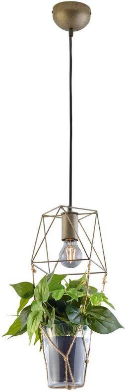 Trio Lighting Hanglamp Plant, 1 lamp glazen inzet v. decoratie