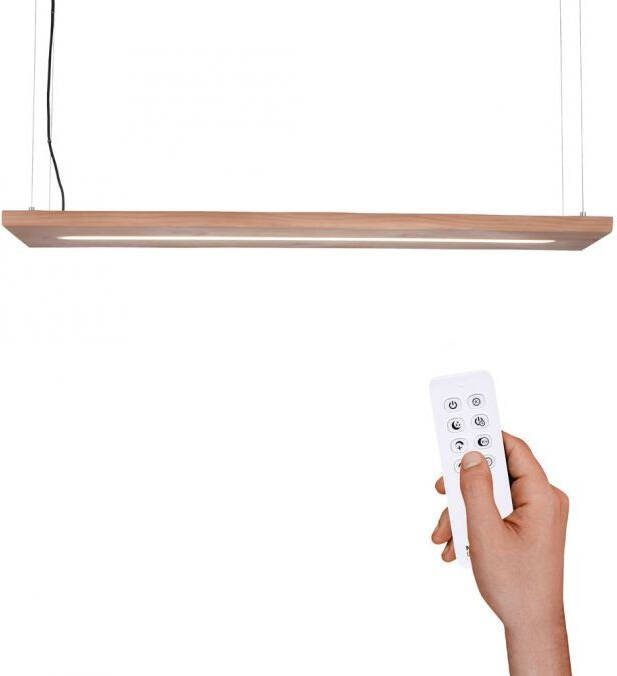 Paul Neuhaus Hanglamp Palma Boomstam Led 120cm Dimbaar