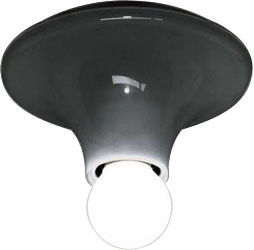 Artemide Teti Wand en Plafondlamp Antraciet