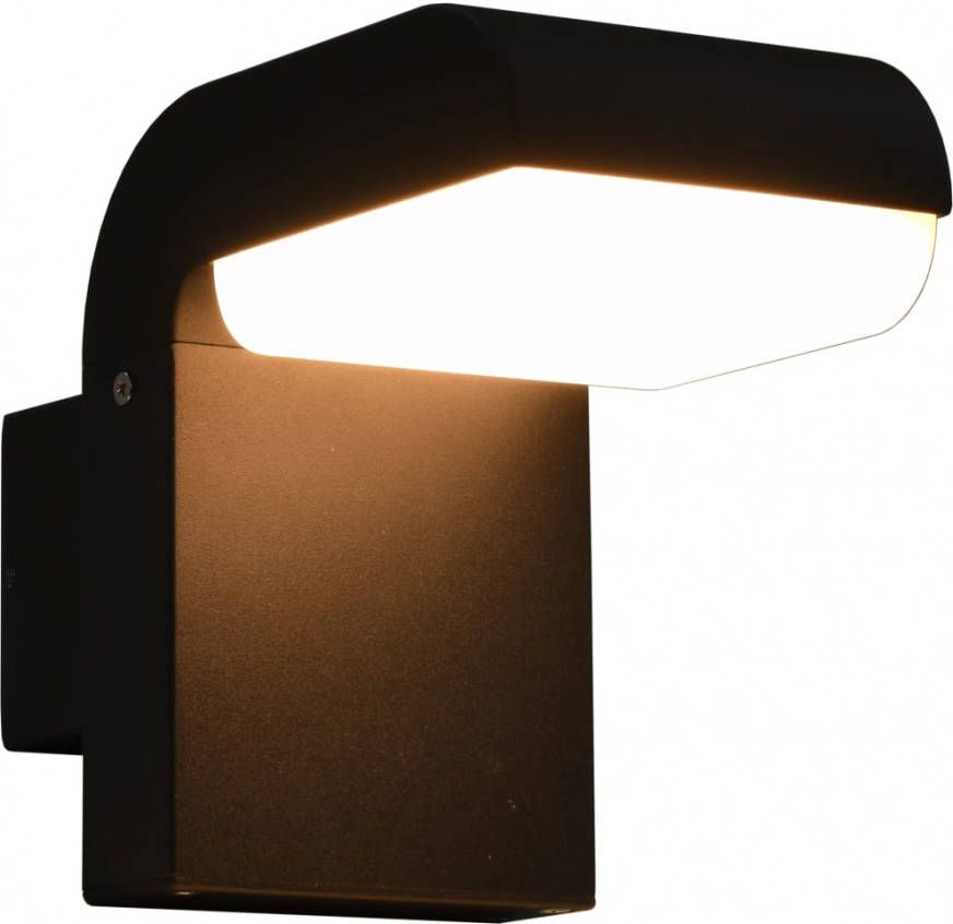 VIDAXL LED buitenwandlamp 9 W ovaal zwart